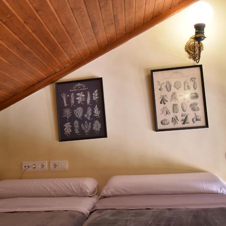 Las Mansiones De Constitucion Apartamentosmalagamanagement Dış mekan fotoğraf